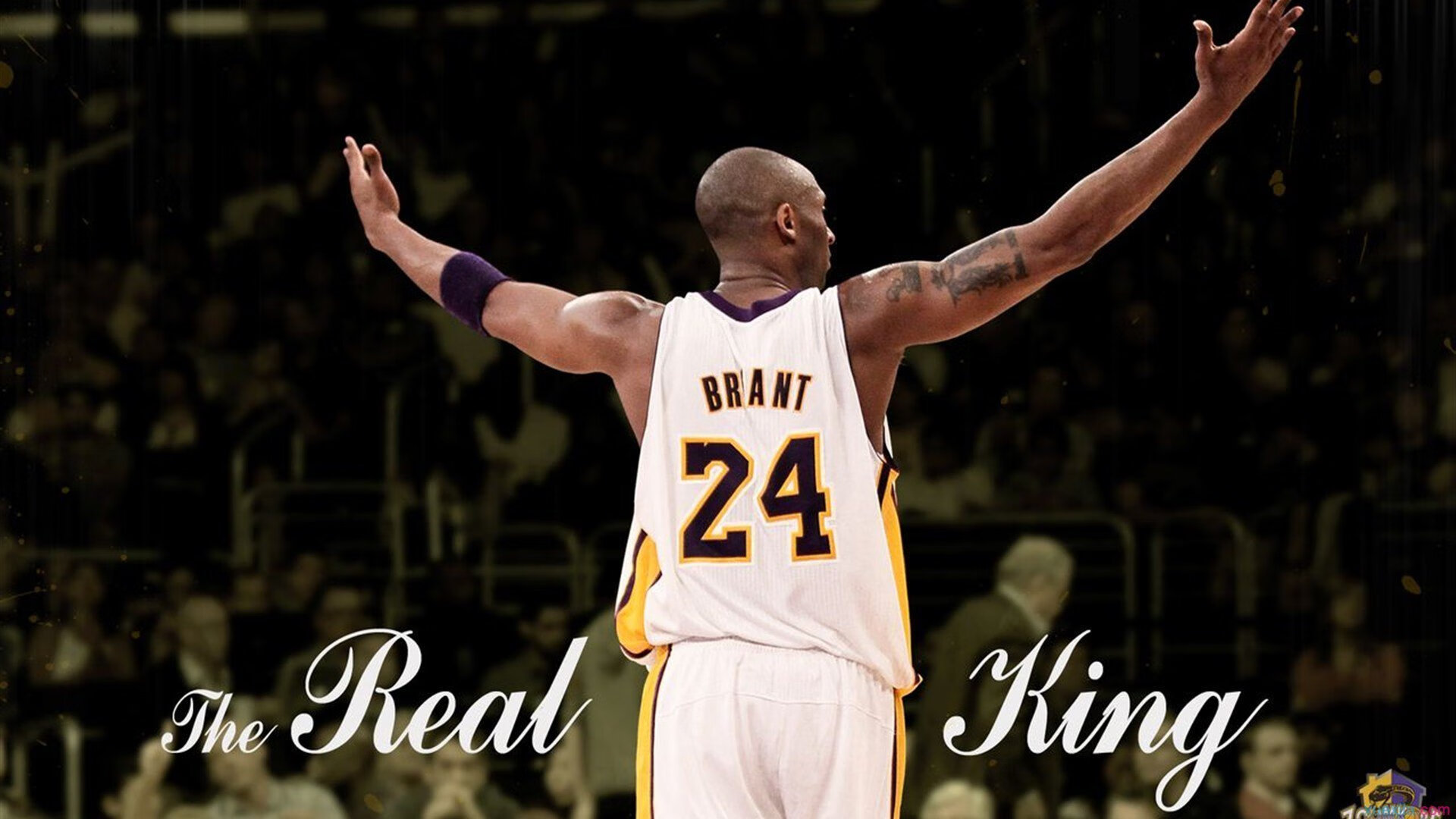 国际裁判团队入境本地执法，规则统一化推进，国际裁判证有用吗